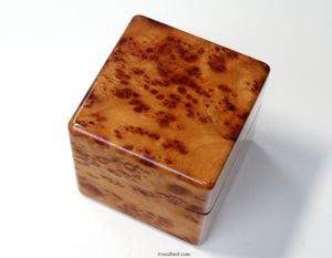 バール　高級時計ケース