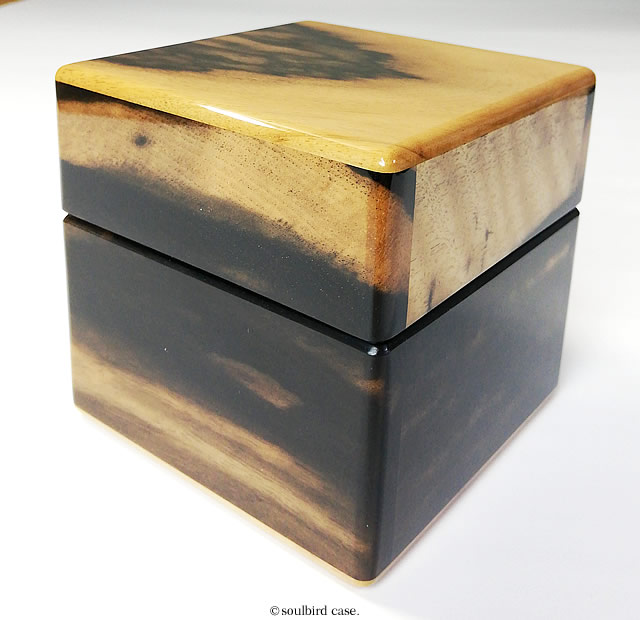 前面　No.0736　黒柿材1本用時計ケース