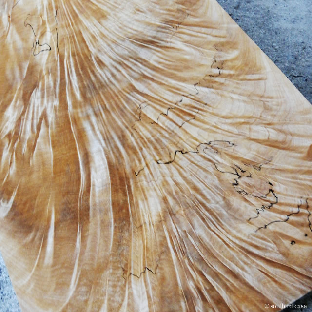 トチのキラキラ