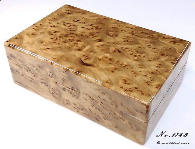 ニレケヤキ10本用時計ケース前面