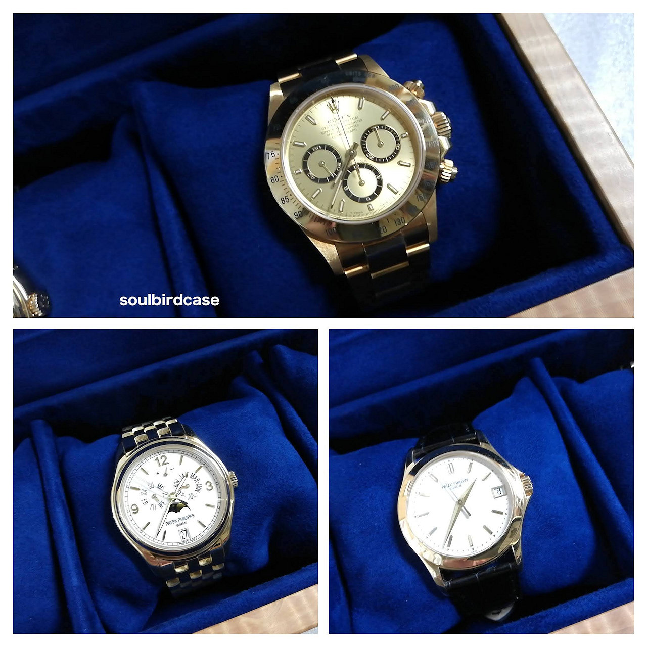 トチノキ5本用時計ケース