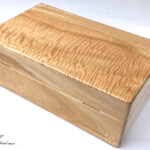 背面　トチカーリー　10本用時計ケース