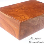 No.2074ケヤキ10本用時計ケース